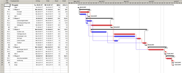 Ms Project Vorlage Baltic Pm